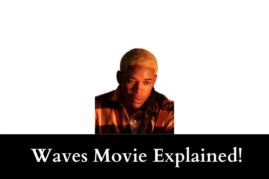 Waves Movie Explained